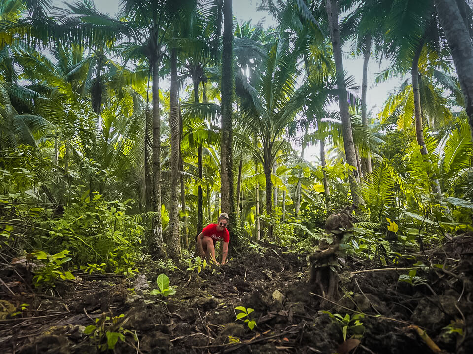 Two weeks in the Philippines 