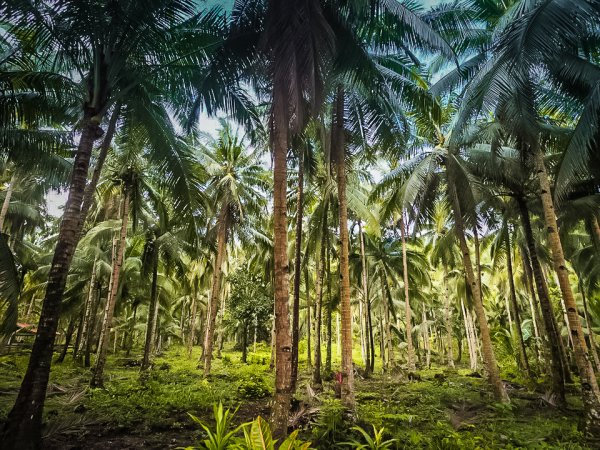 What to do in Siargao