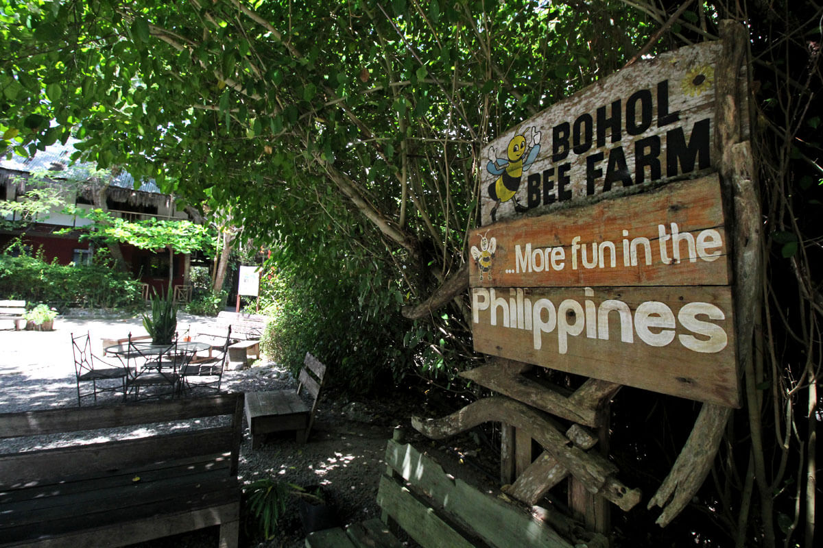 Tourist spots in Bohol 