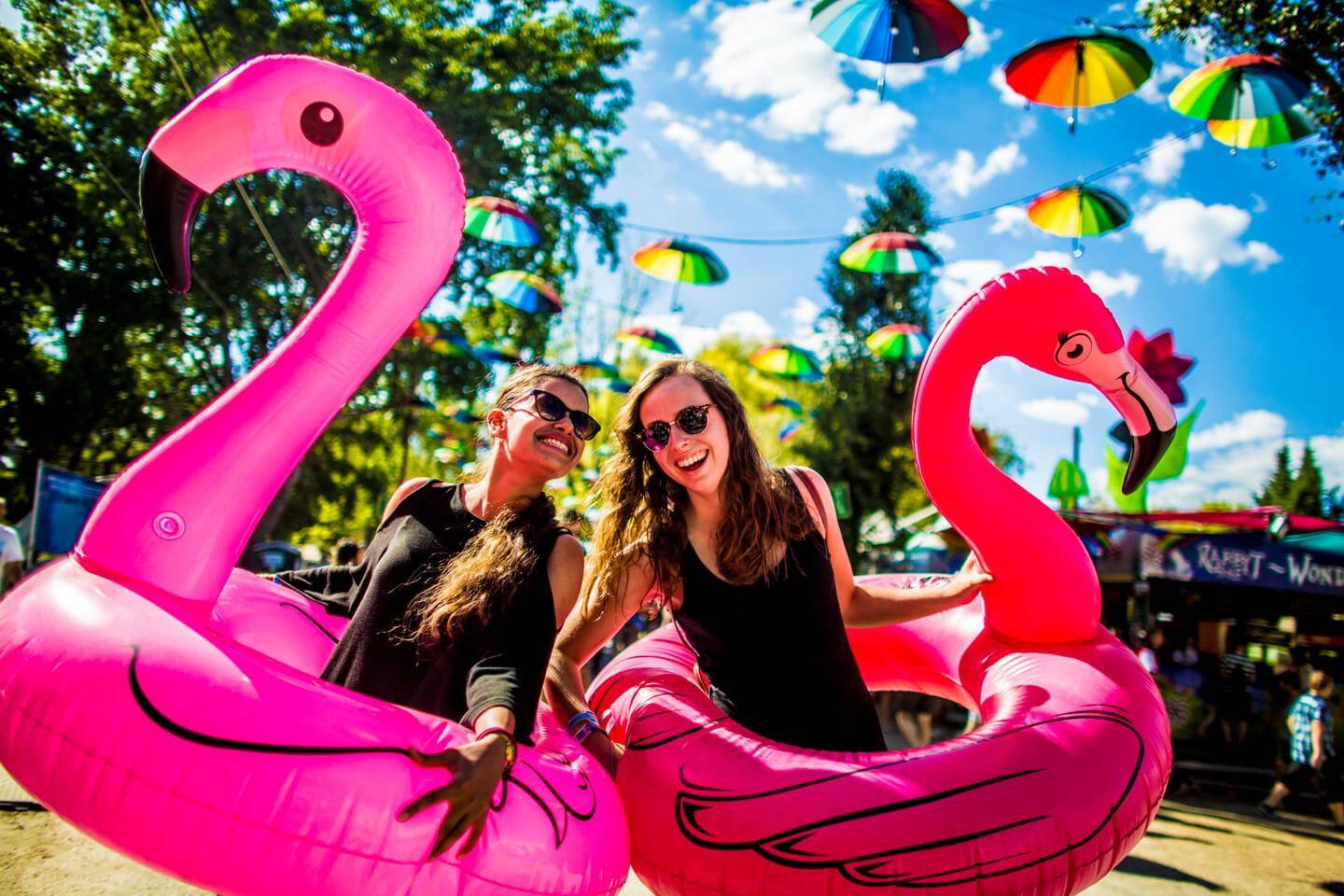 Things to do at Sziget Festival