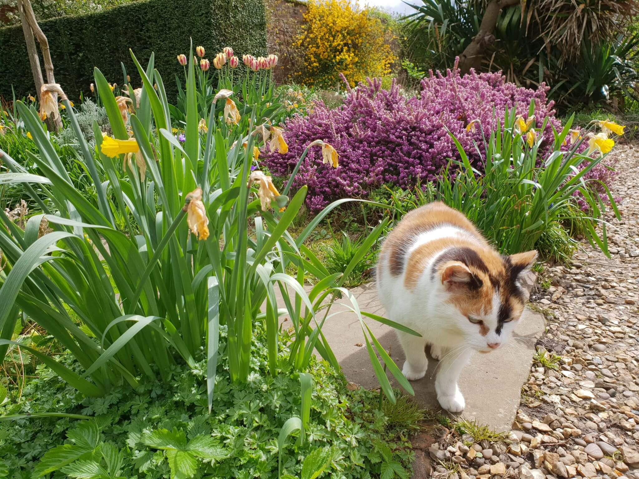 Lincolnshire for the weekend