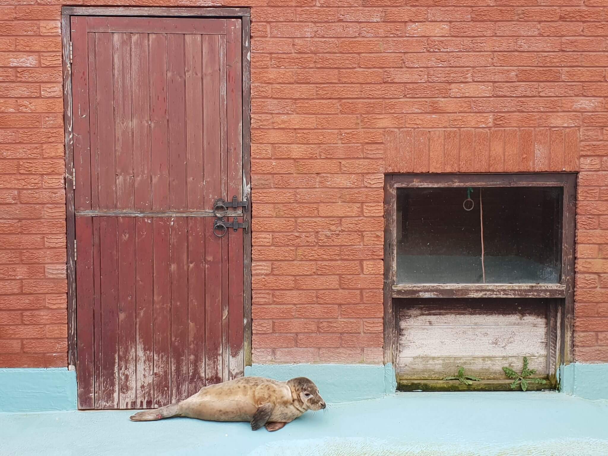 Seal Wildlife Sanctuary