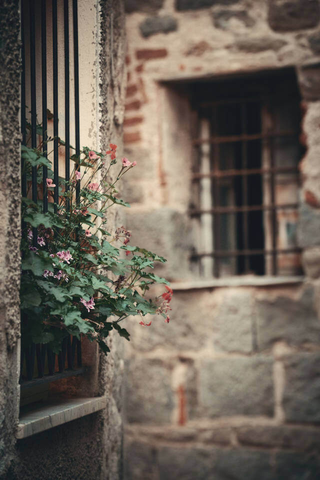 coolest things to do cinque terre