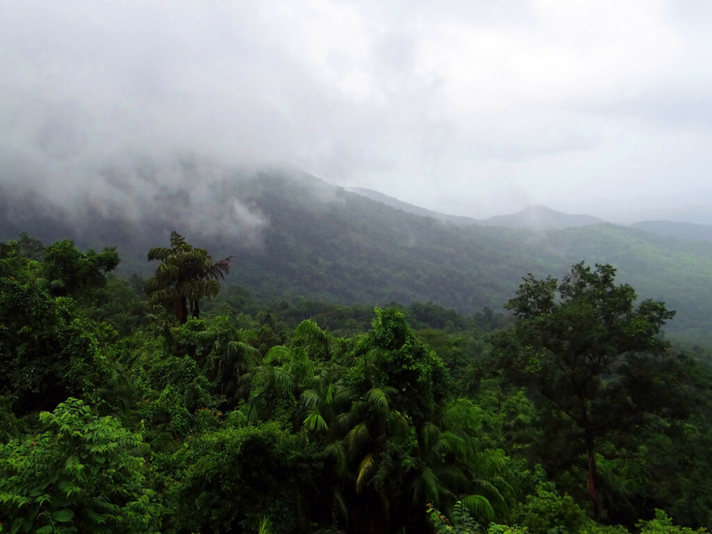 Fun things to do in Goa