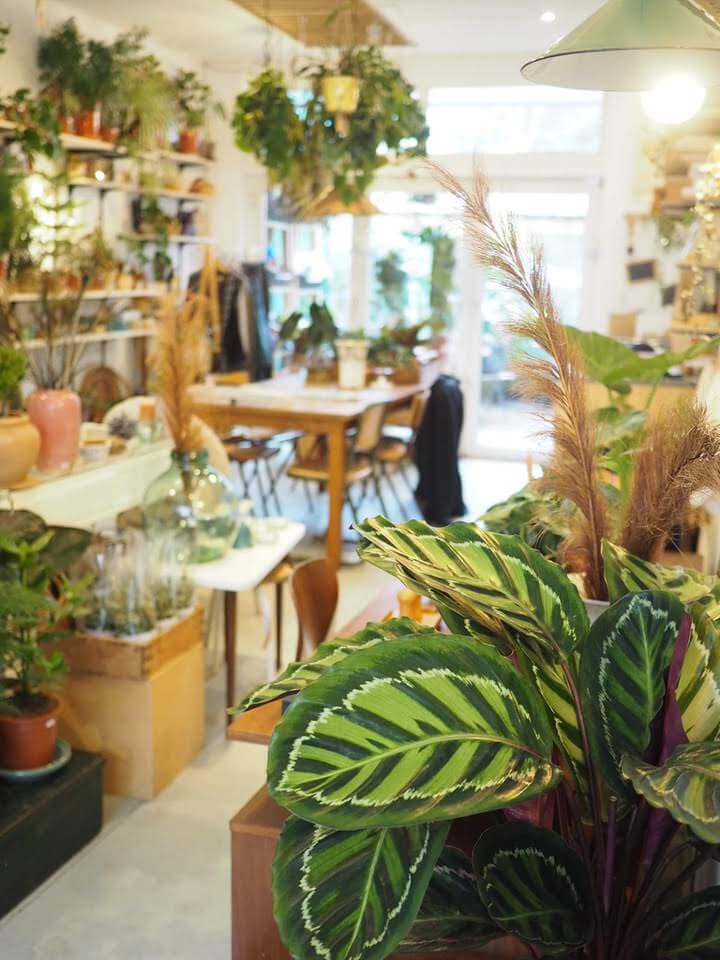 The Hague independent shopping