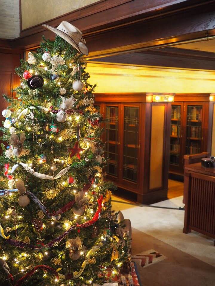 Danas House in Springfield