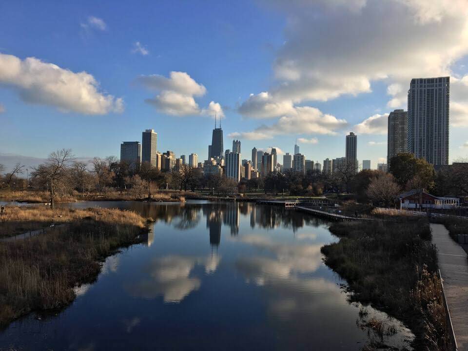 View of Chicago skyline 