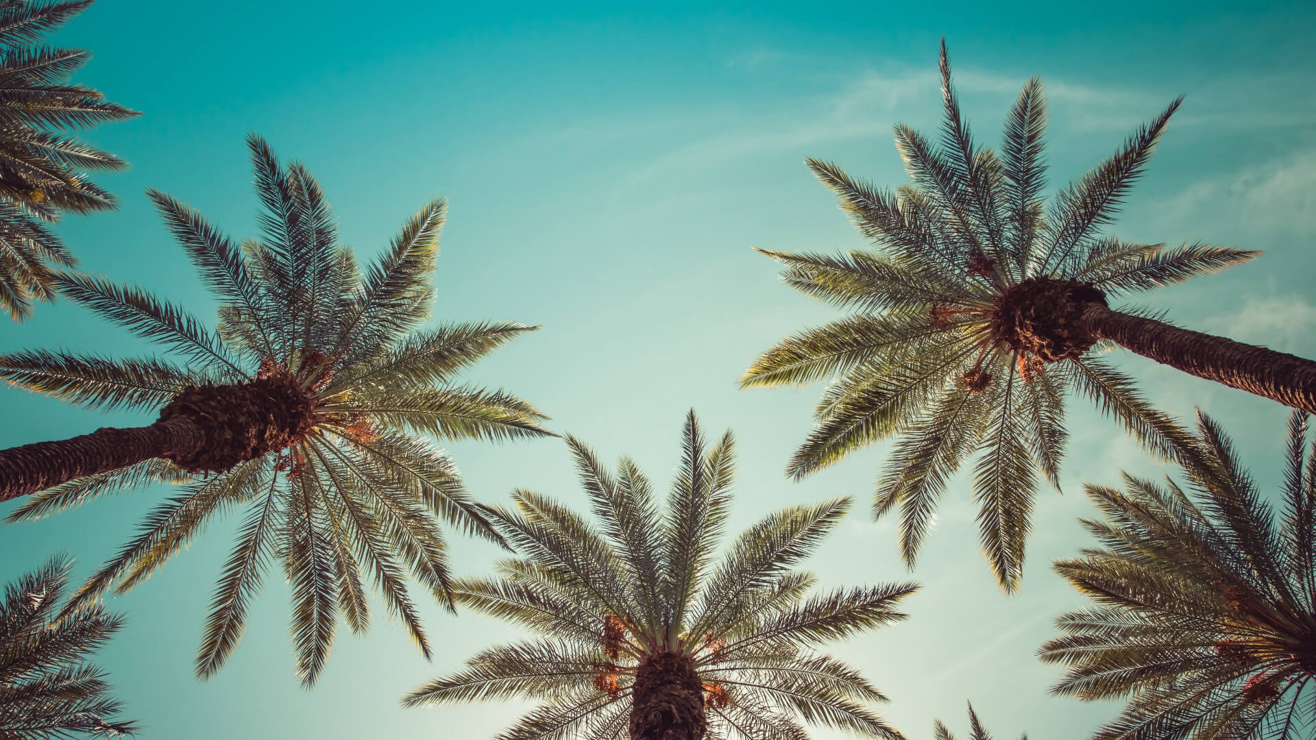 What to do in Palm Springs