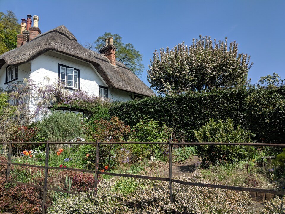 New Forest attractions