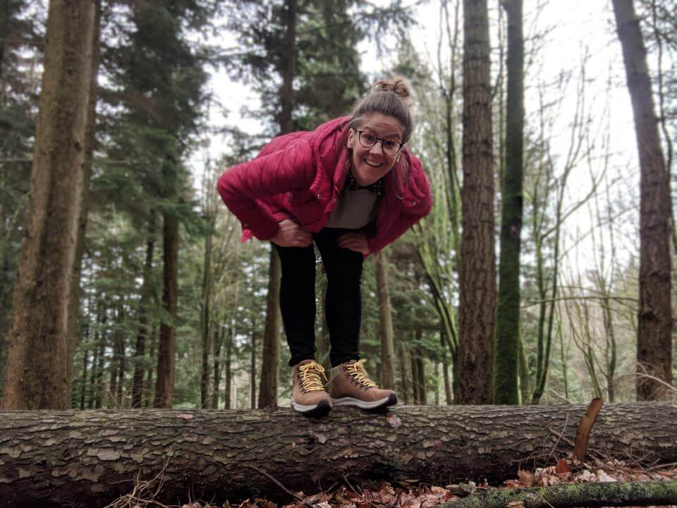 New Forest Attractions