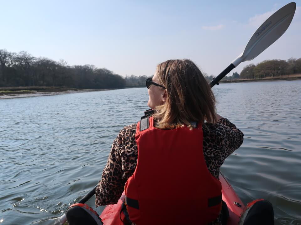 New Forest Attractions