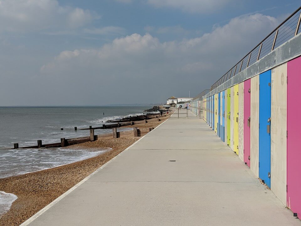 What to do in the new forest