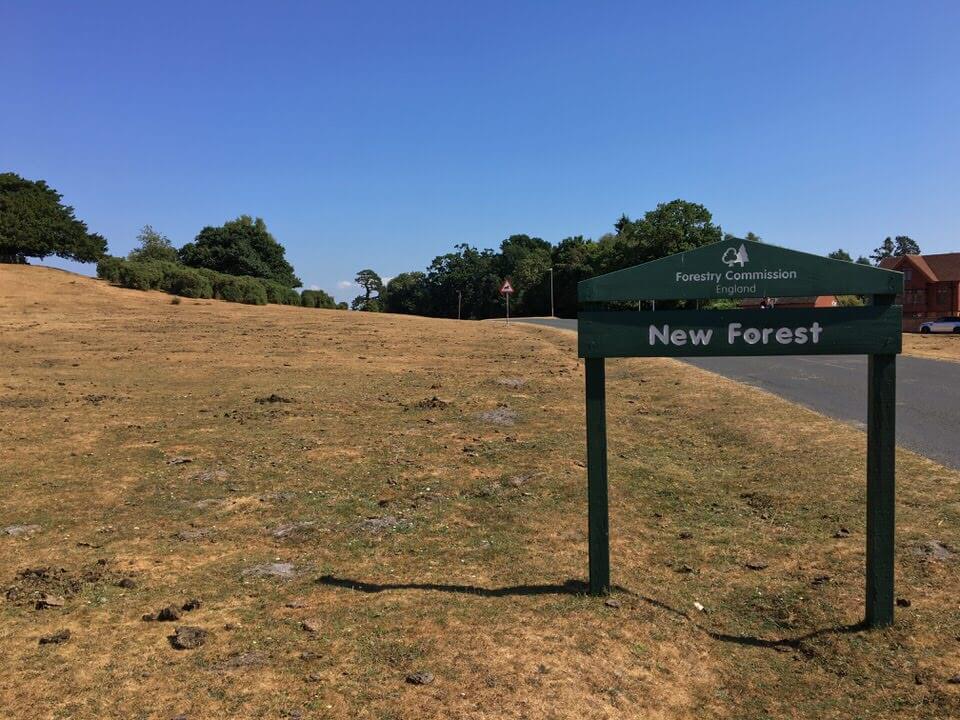 wild camping new forest