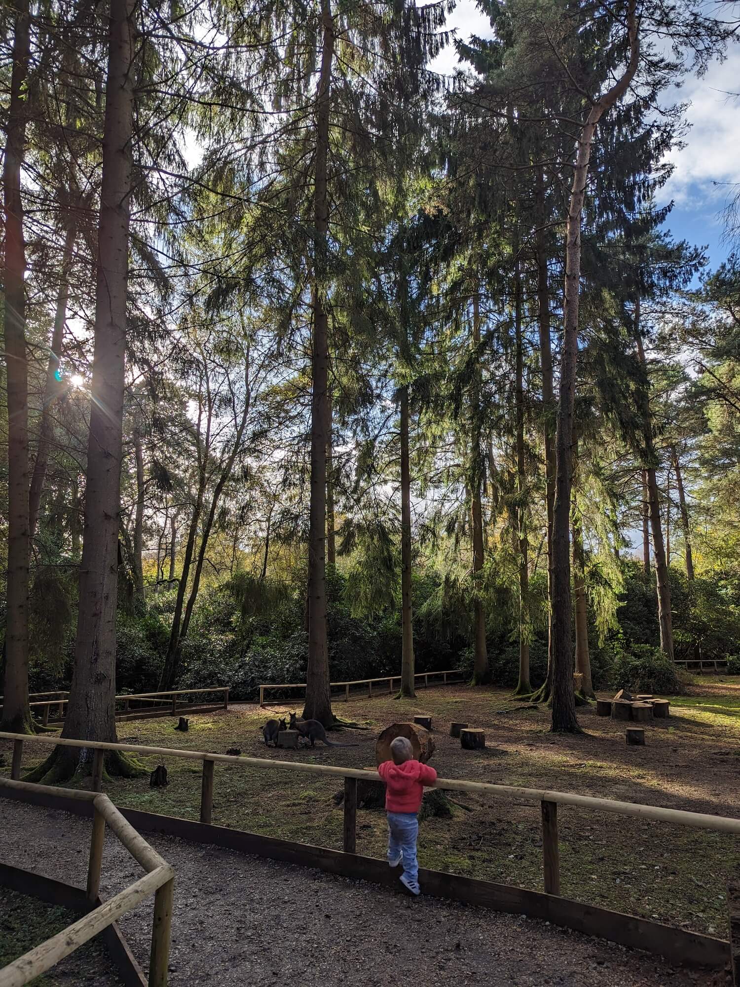 Otter and Reptile centre