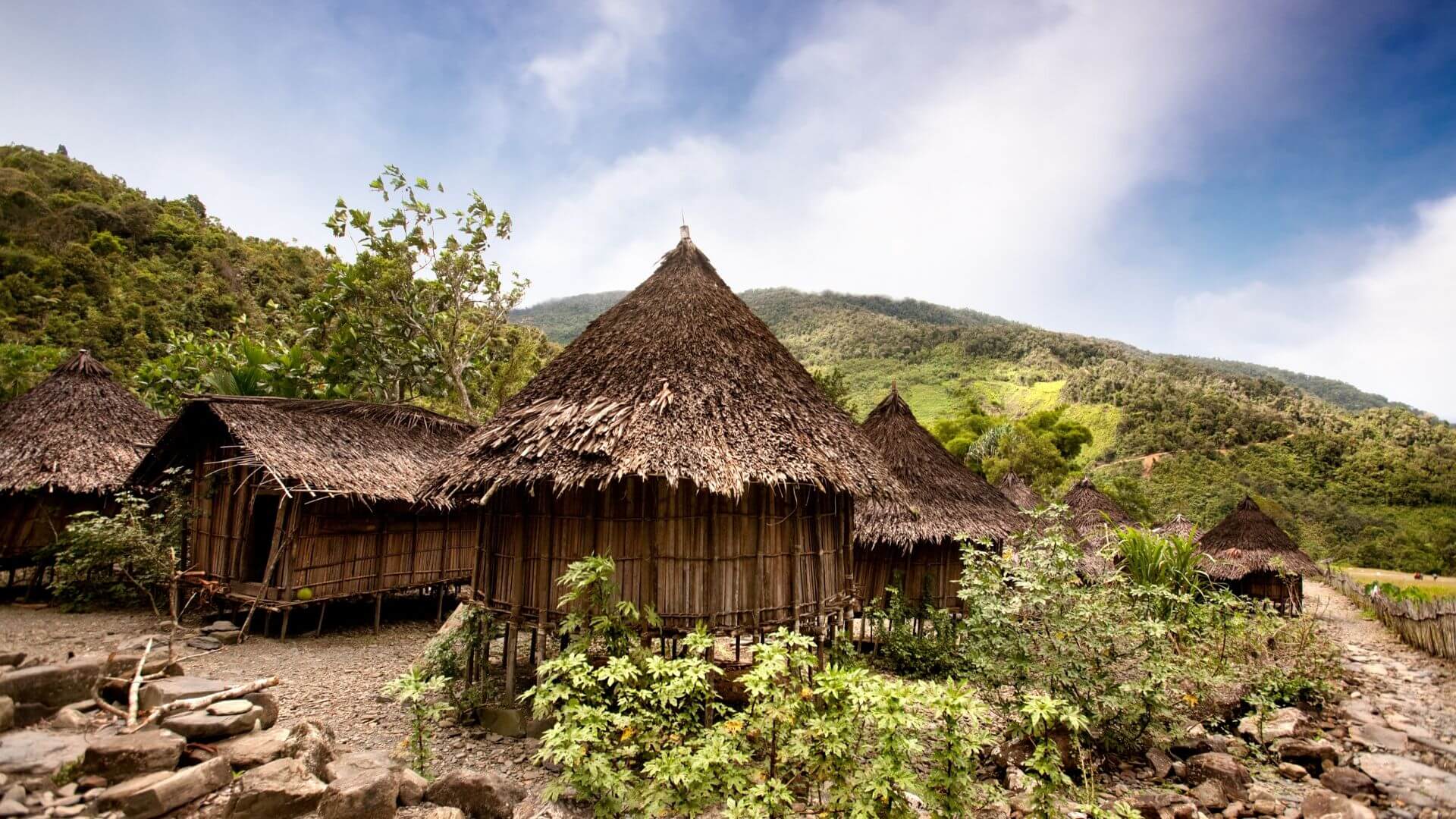 papua new guinea travel guide