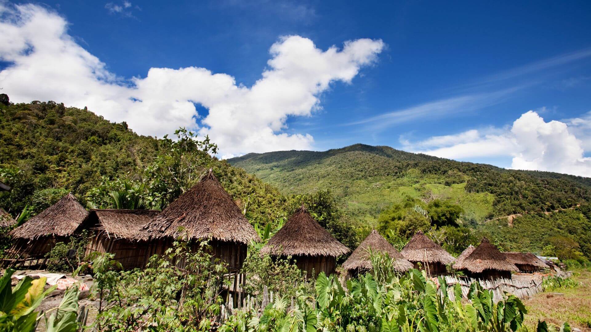 Visiting Papua New Guinea
