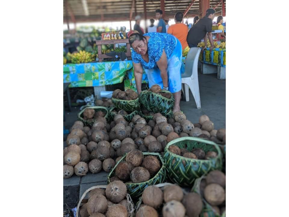 cool ideas for samoa