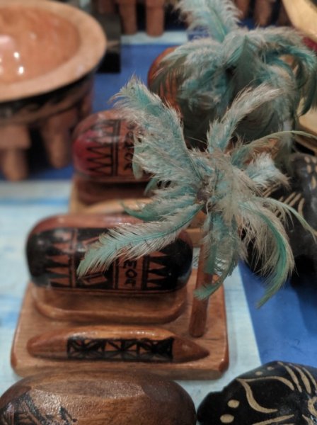 coolest things to do samoa