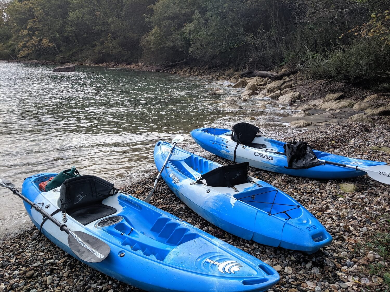 unique things to do on the isle of wight