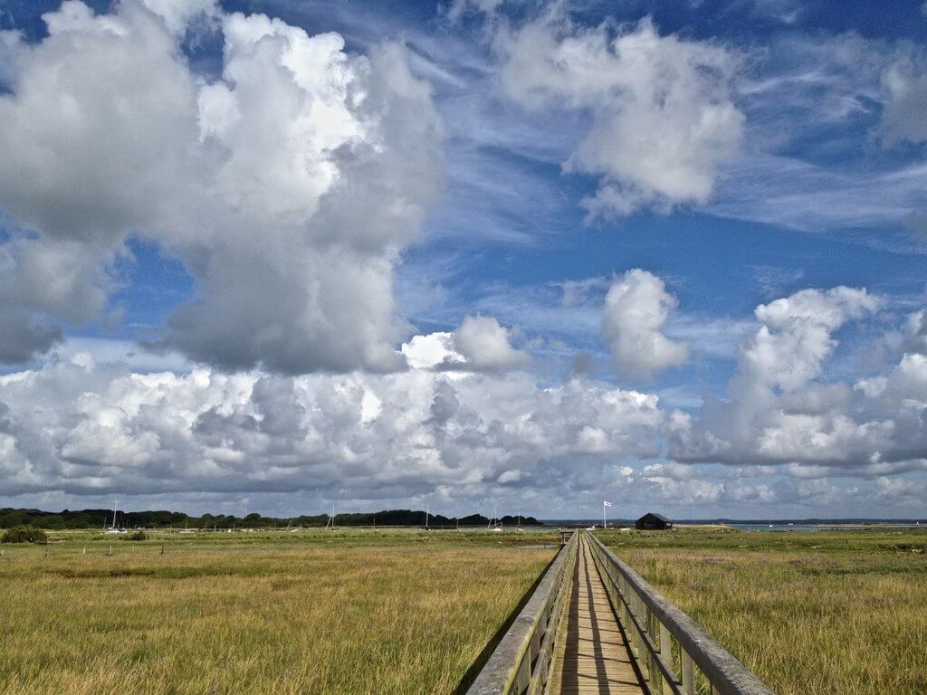 Newtown Park Reserve 