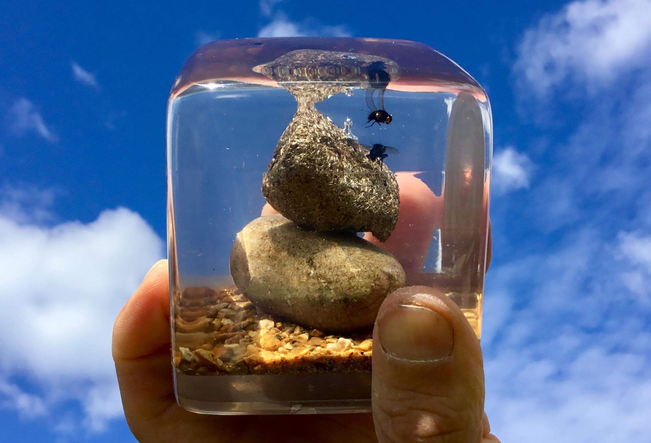 Poo Museum Isle of Wight