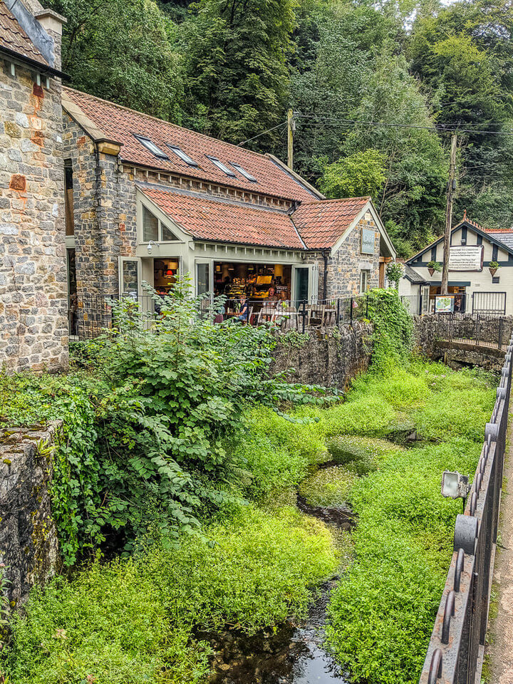 cheddar gorge tea room