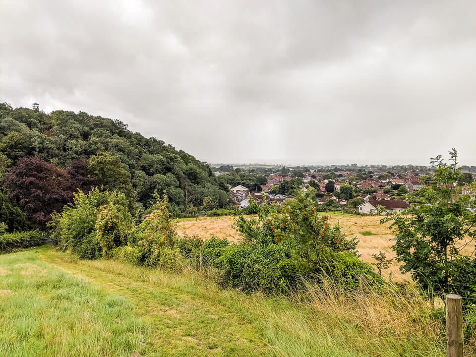 Mendip Hills views