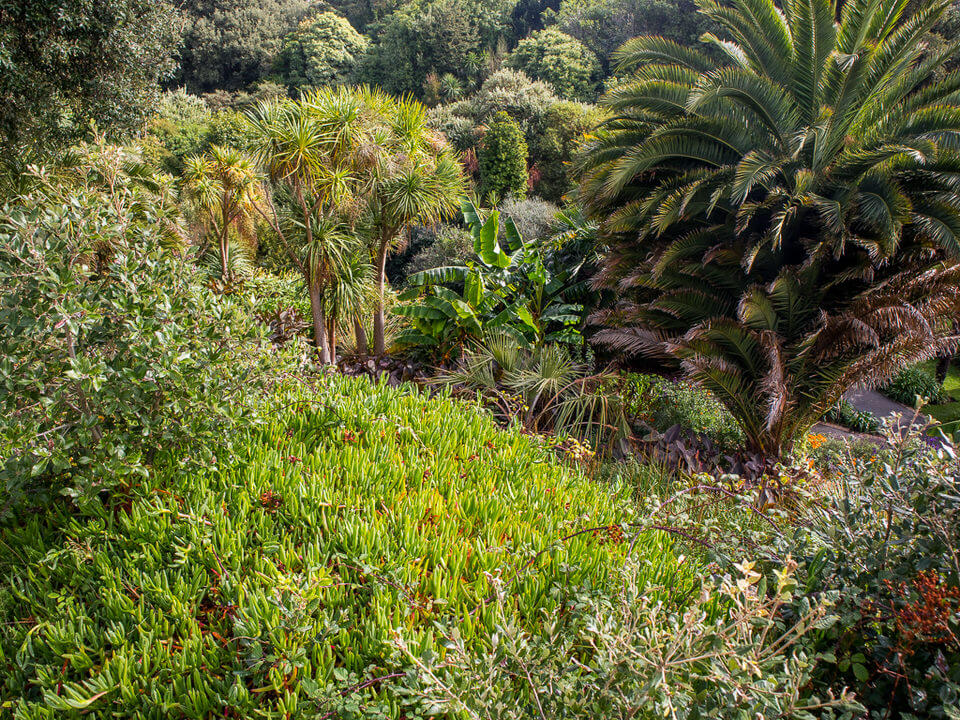 Botanical Garden Ventnor 