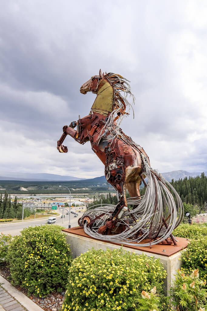white horse in whitehorse canada