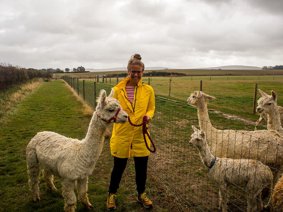 Isle of wight in 2019