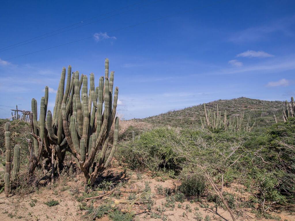 Arikok National Park in Aruba 