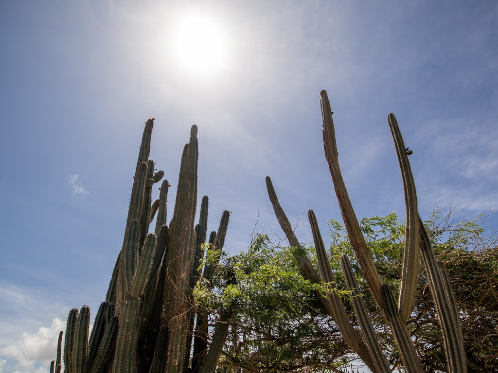 Arikok National Park