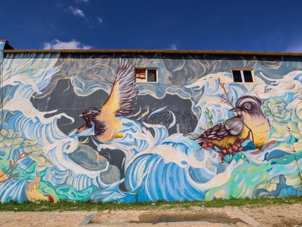 Street art in San Nicolas in Aruba