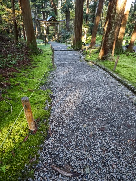 walking alone confidence