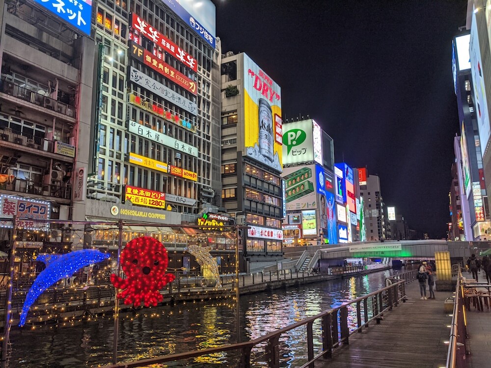 Exploring the Dotonbori Osaka