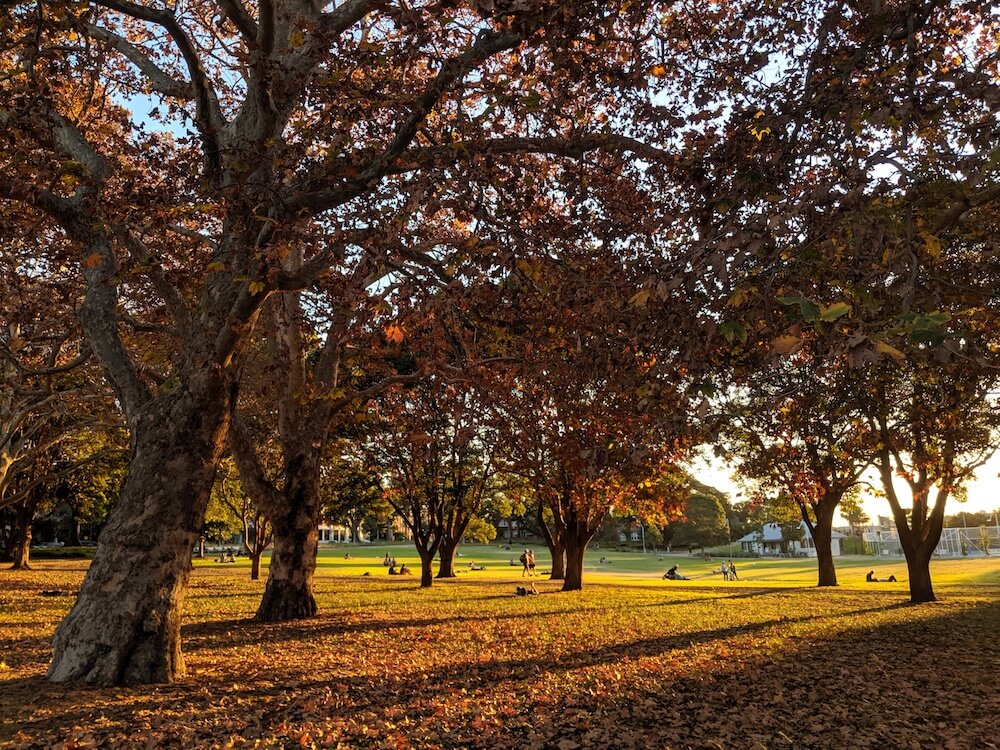 cheap things to do in sydney