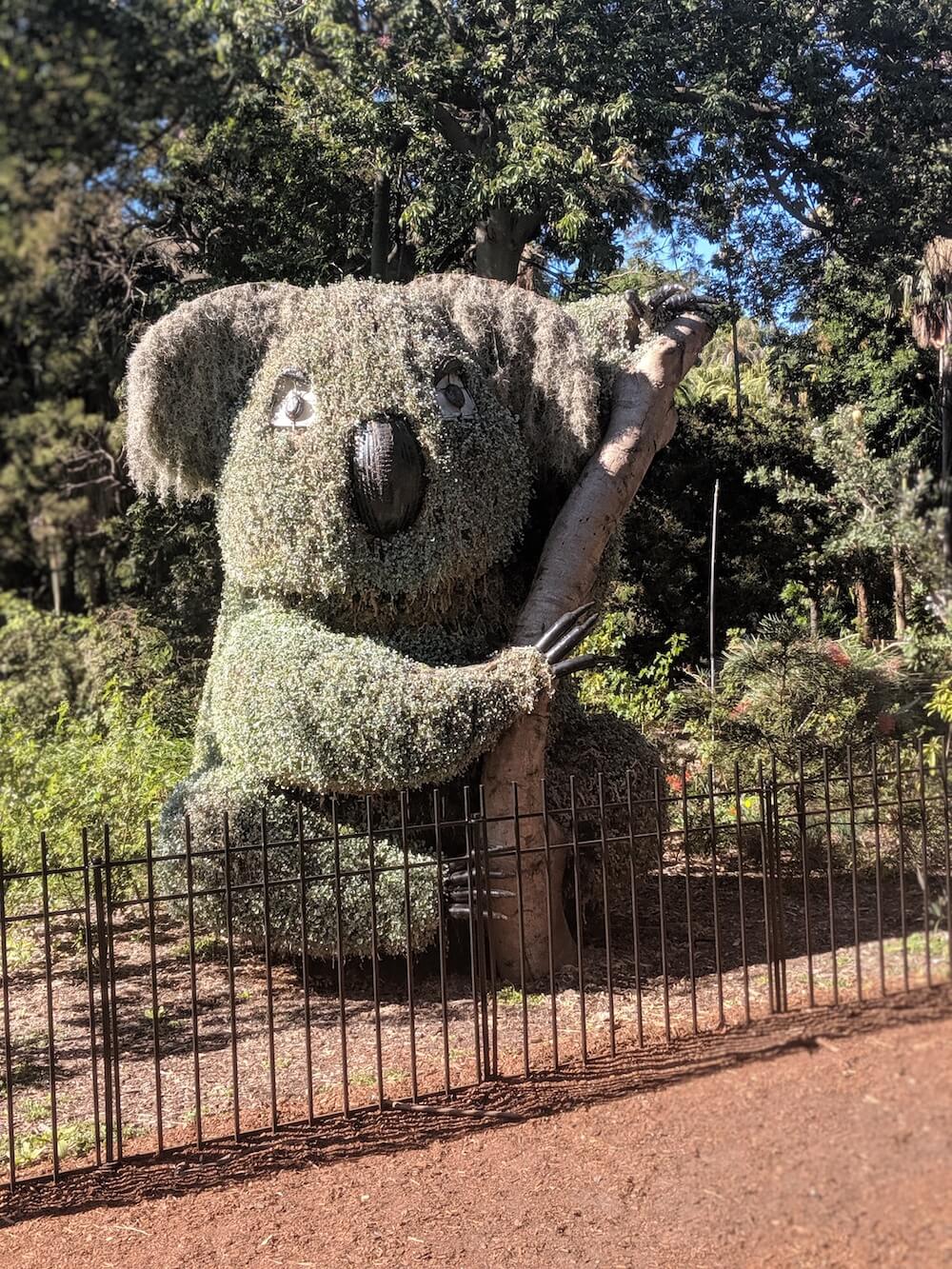 cheap things to do in sydney