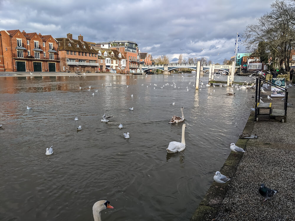 Windsor bridge views