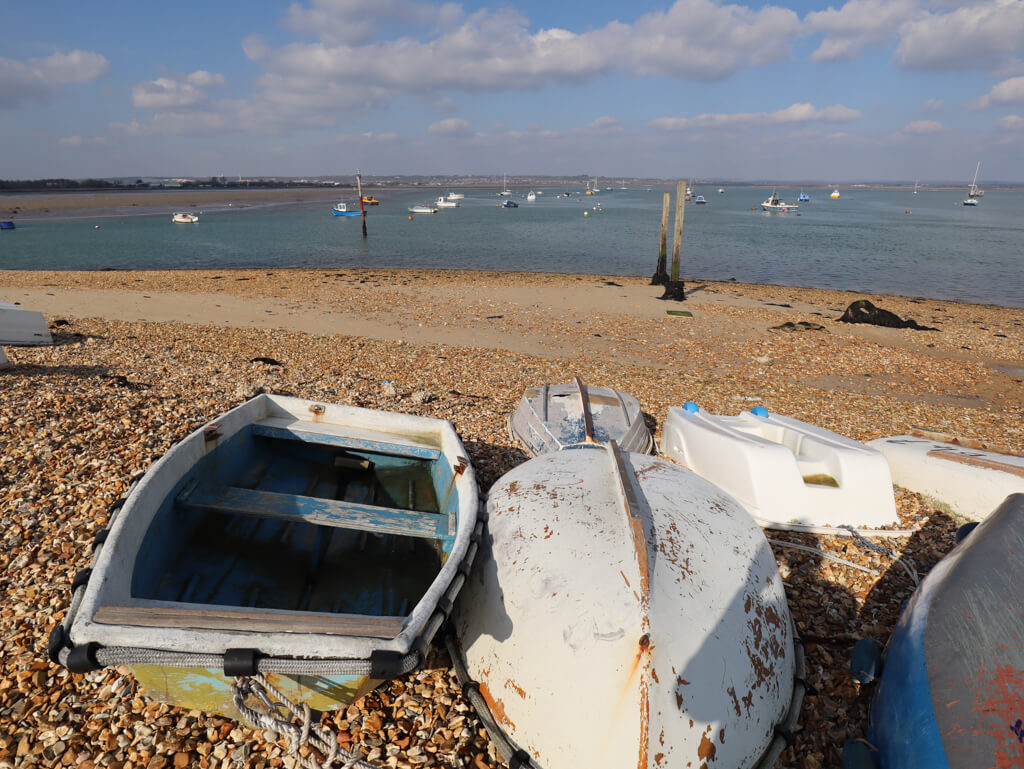 Wild swimming southsea