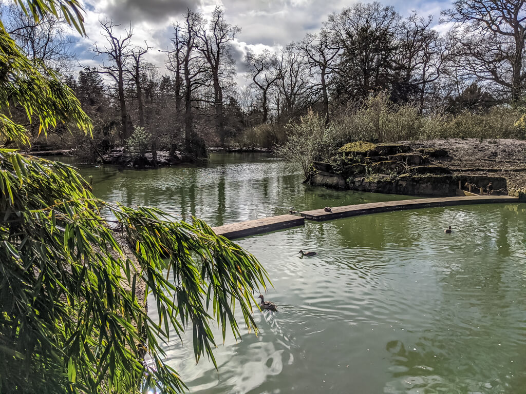 Campervans in the Cotswolds