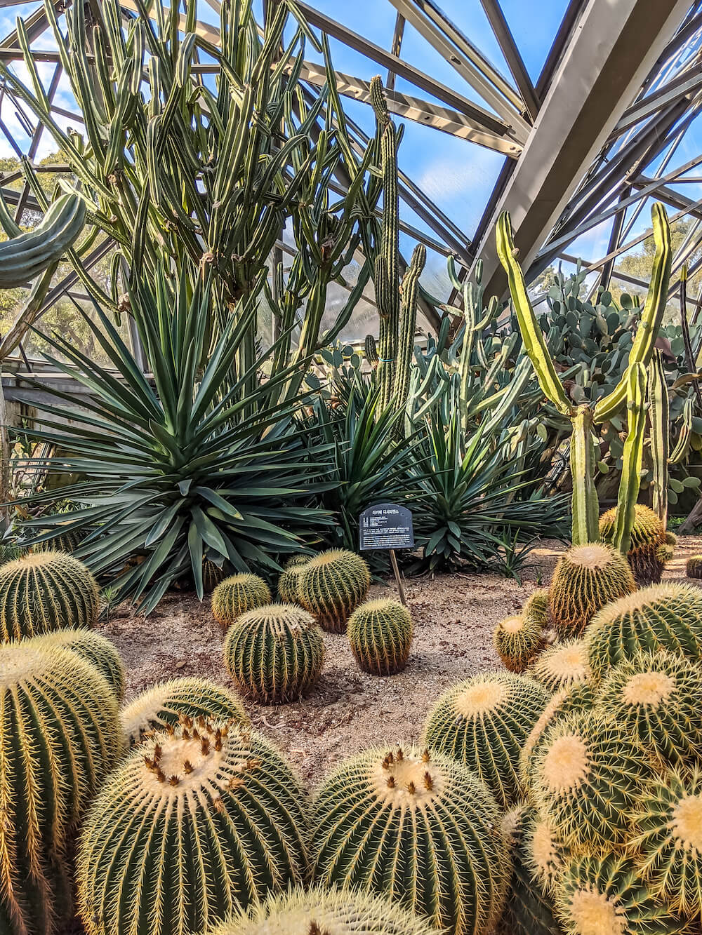 what to do jeju island