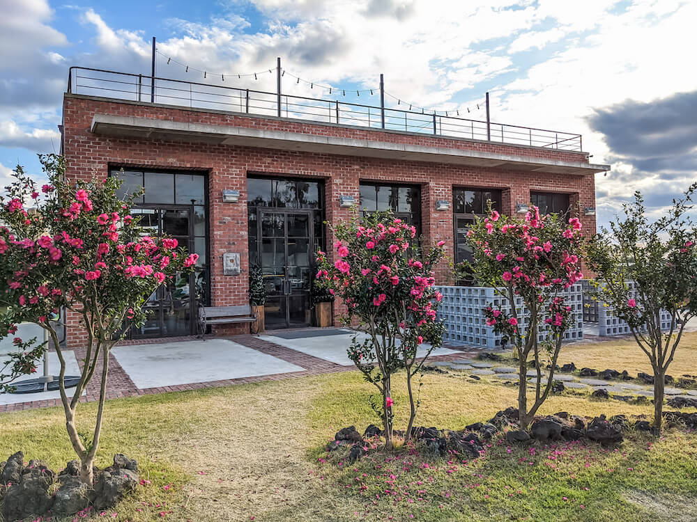 what to do on jeju island