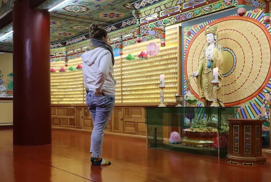 jeju island in winter