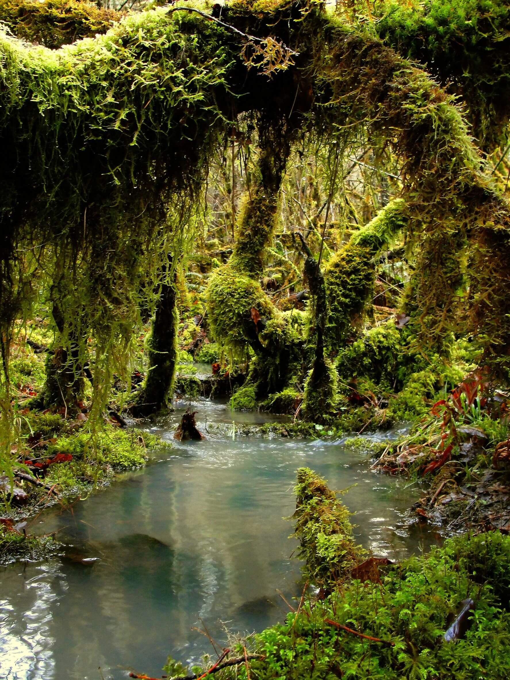- willamette valley, oregon - 2011: south hills of lane county