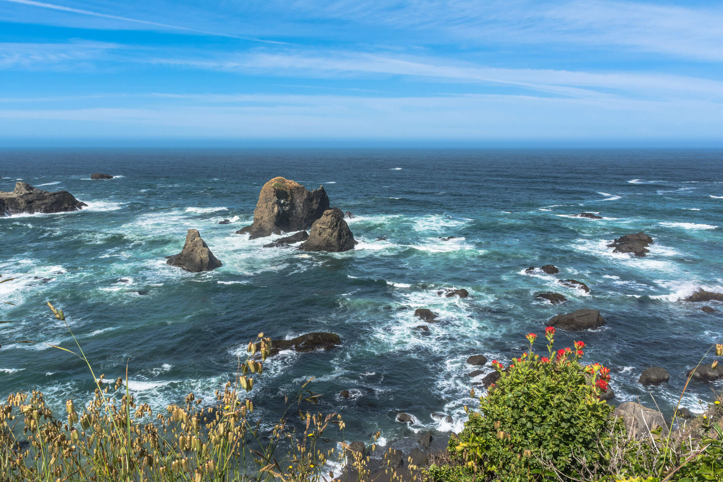 The coast along Fort Bragg, California