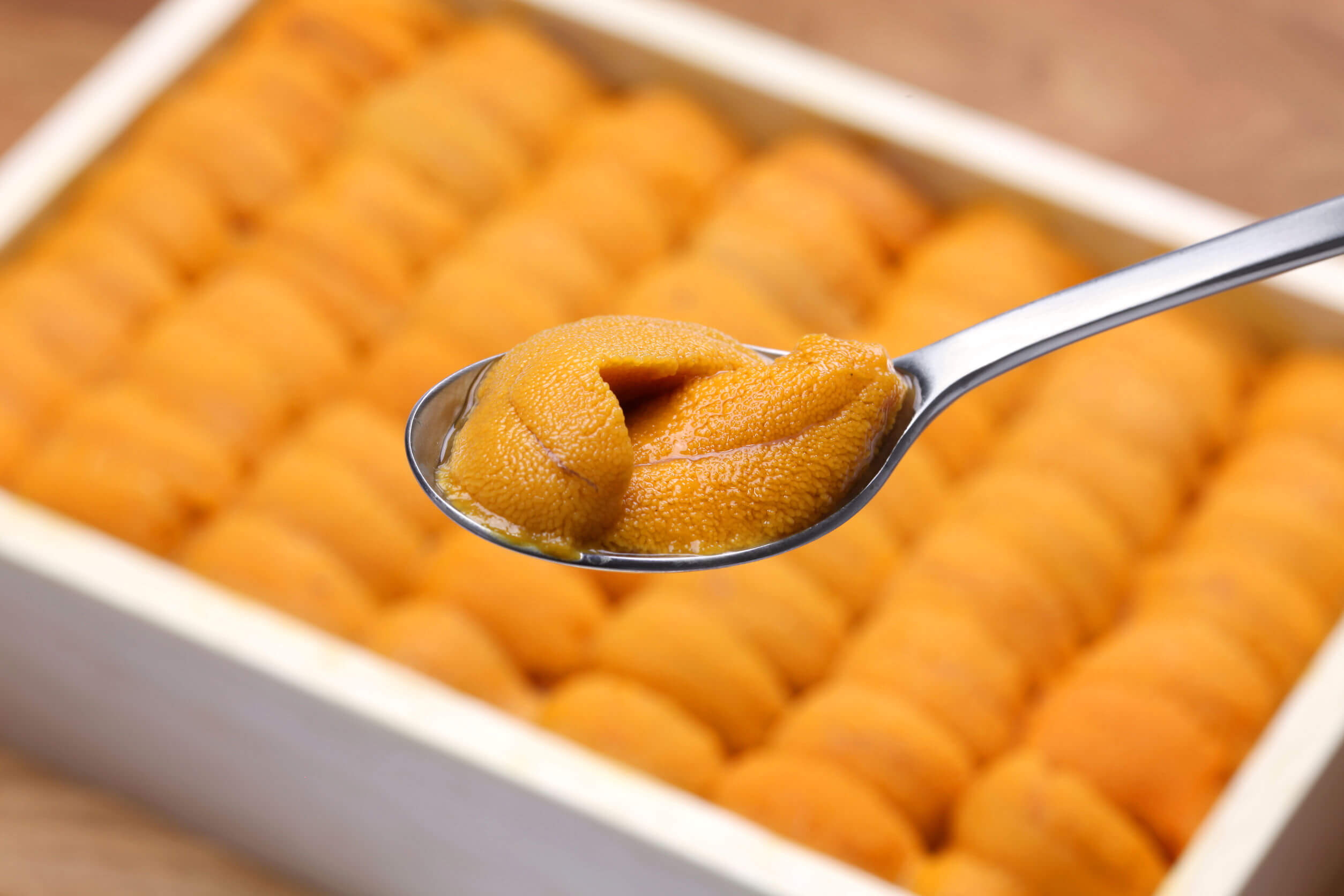 uni best food in japan