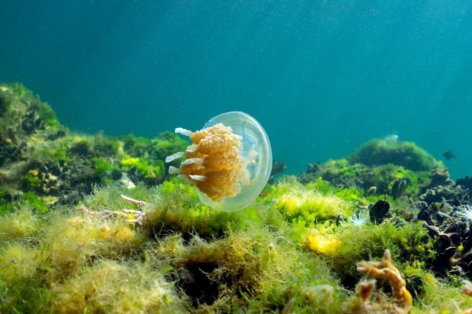 What is responsible tourism?