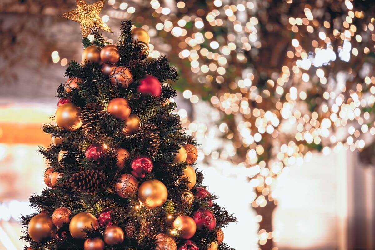 questions about christmas