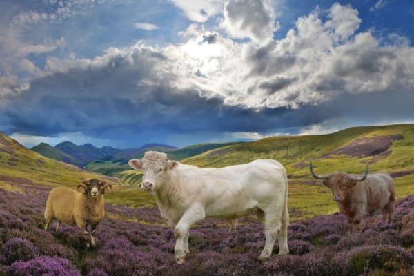 UK adventure weekend