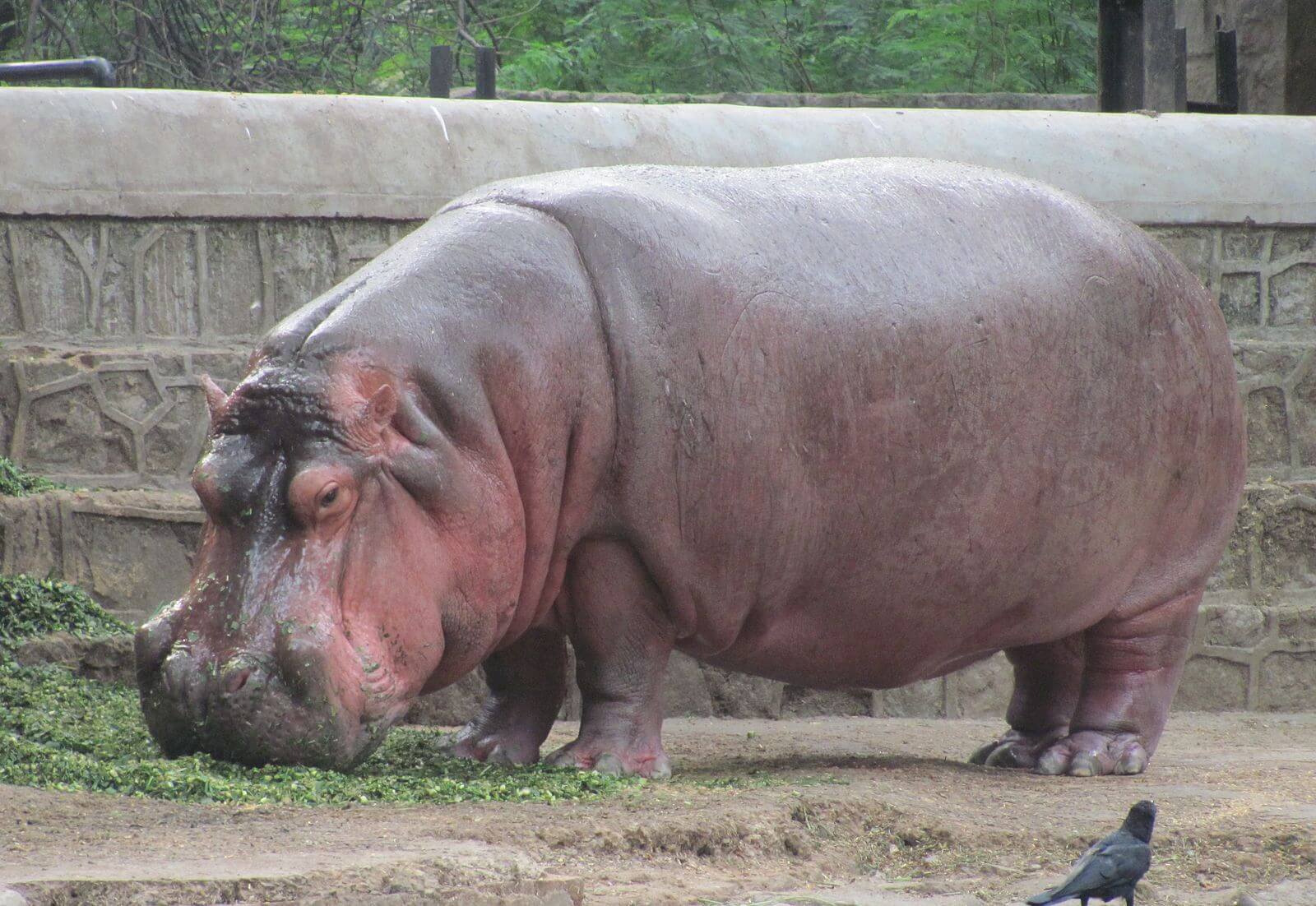 big zoos in the world